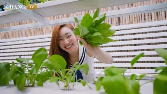 Mới đây, bà xã Chi Bảo - Lý Thùy Trang hé lộ khu vườn xanh mướt trong siêu biệt thự trên kênh YouTube riêng khiến nhiều khán giả trầm trồ.