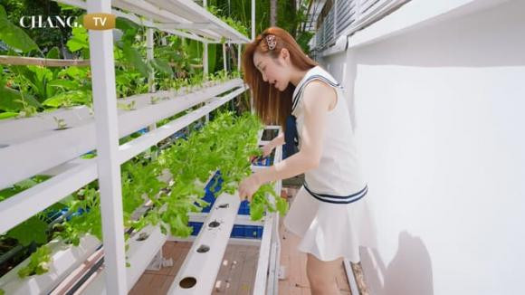 Bà xã Chi Bảo cho biết làm vườn với mục đích tạo sân chơi cho con, để con hạn chế phải ngồi TV, điện thoại.