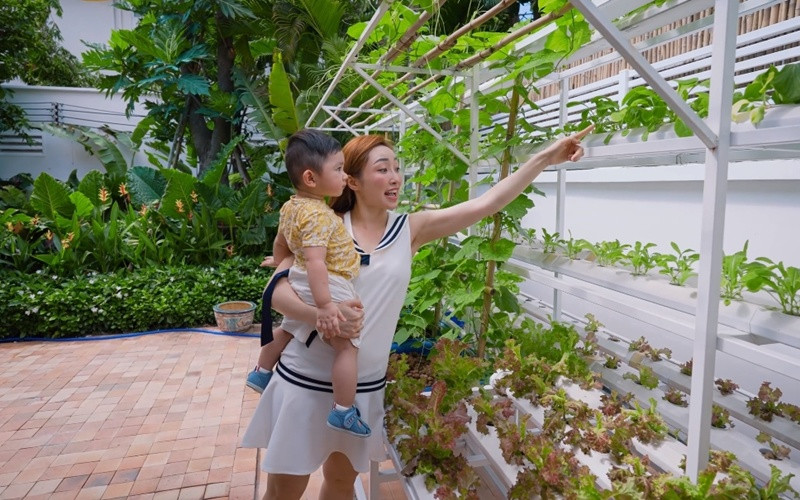 Vợ chồng Chi Bảo cải tạo một góc trong căn biệt thự ở quận 3, TP HCM để làm vườn rau.