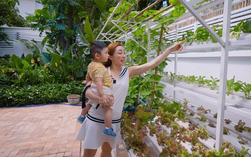 Vợ chồng Chi Bảo cải tạo một góc trong căn biệt thự ở quận 3, TP HCM để làm vườn rau.