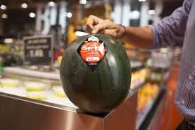 Không rõ tại sao dưa hấu Densuke vẫn chưa được trồng rộng rãi bên ngoài Nhật Bản, nhưng theo tạp chí The Gardener, hạt giống đang được bán rộng rãi ở châu Âu và Bắc Mỹ. Ảnh: WSJ