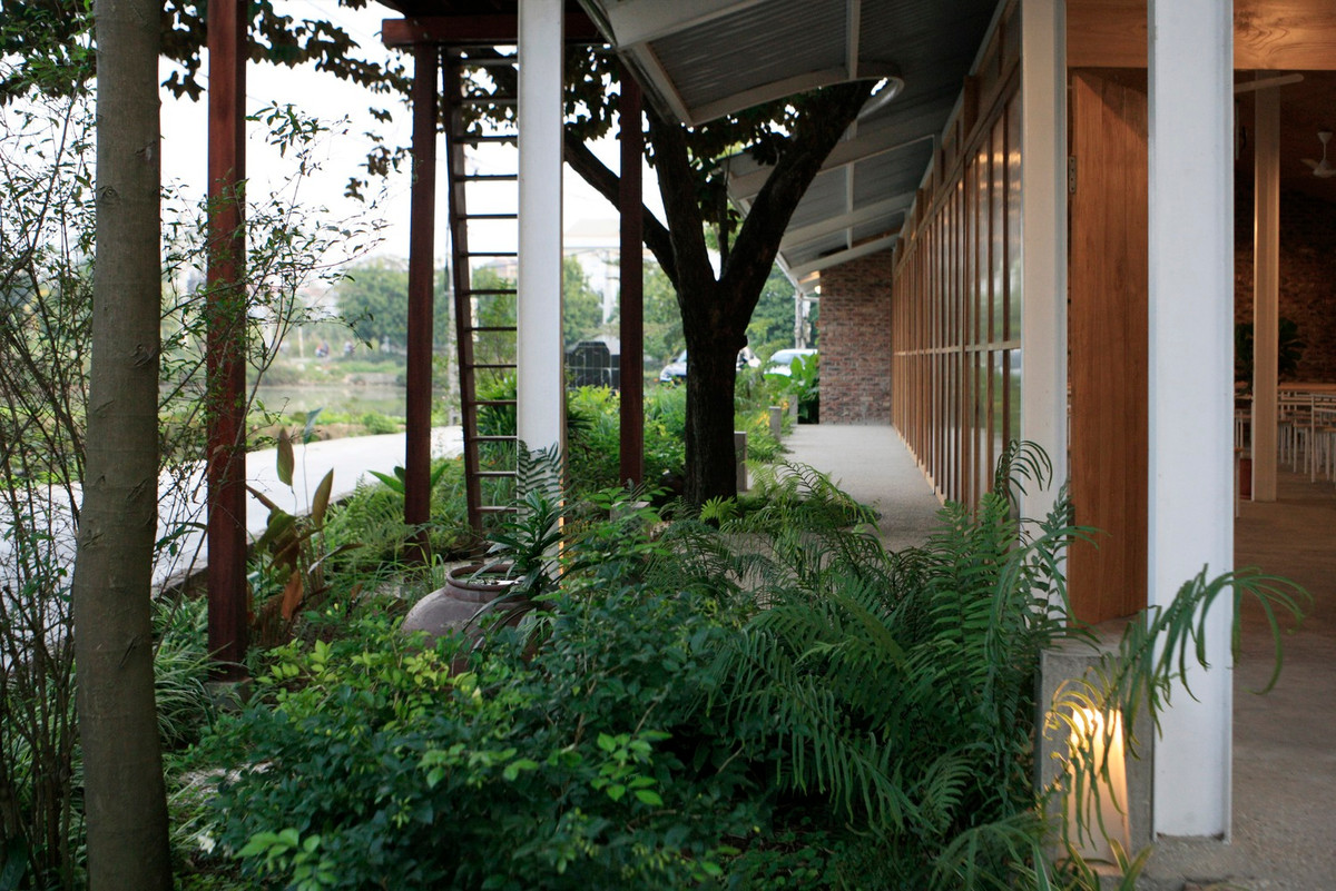 Để làm được điều này, kiến trúc sư cắt mái dựa trên tán của cây vú sữa và tạo ra những ô cửa kính hình vòm.