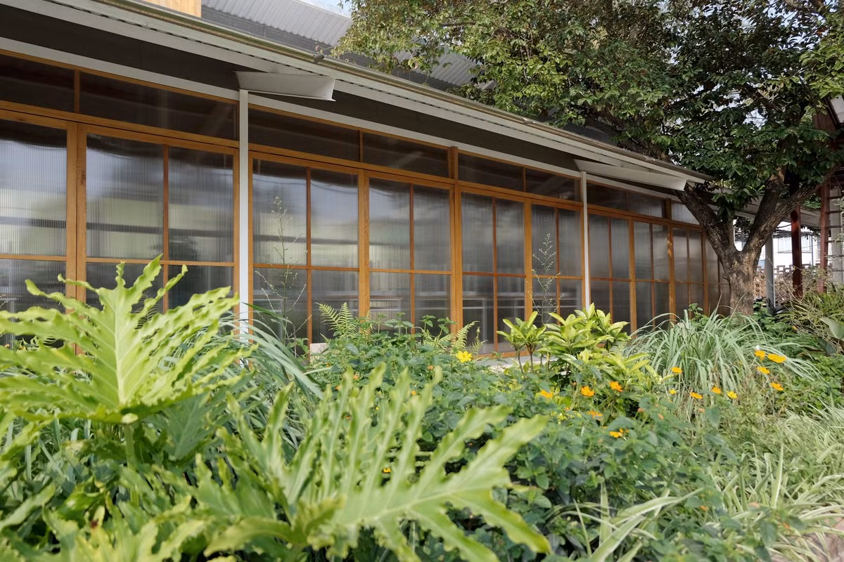 Cây vú sữa và bụi tre là hai thứ được giữ lại trong quá trình xây dựng. Chủ quán muốn lưu lại mối liên hệ với tổ tiên và mẹ cha bên những tán cây.