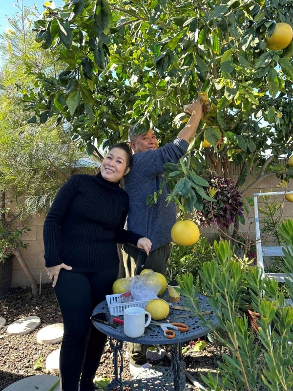 Hồng Đào còn "thuê" cả vợ chồng Hồng Vân sang Mỹ làm vườn.