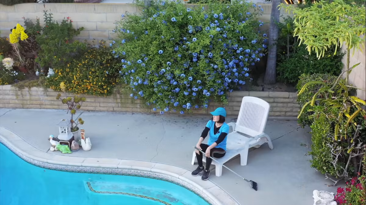 Ngoài khu vườn, trong khuôn viên biệt thự còn có bể bơi rộng lớn.