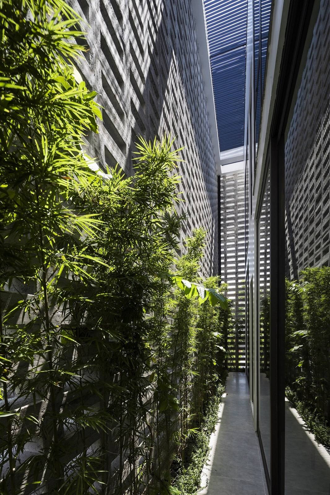 Cây tre cao 2m, cây leo và hoa ti gôn được trồng quanh bức tường gạch bông gió, đóng vai trò như bộ lọc giúp bầu không khí trong lành hơn, đồng thời tạo sự cân bằng với vẻ ngoài thô ráp của gạch và bê tông.