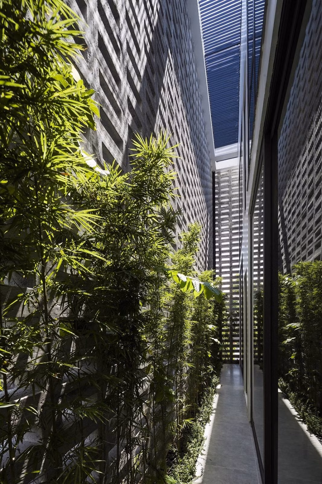 Cây tre cao 2m, cây leo và hoa ti gôn được trồng quanh bức tường gạch bông gió, đóng vai trò như bộ lọc giúp bầu không khí trong lành hơn, đồng thời tạo sự cân bằng với vẻ ngoài thô ráp của gạch và bê tông.