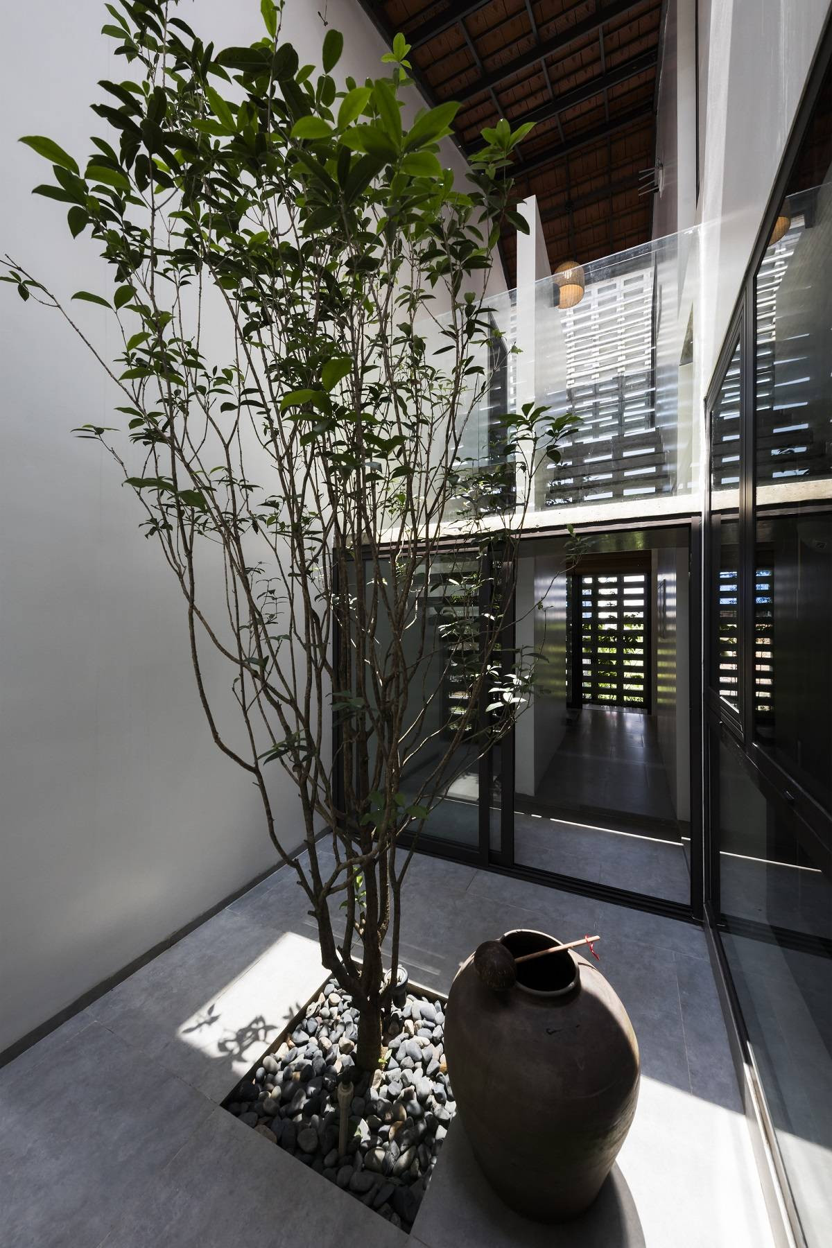 Phía dưới là một “mảnh vườn nhỏ” ở ngay trong nhà, được tự nhiên (nắng, mưa) nuôi dưỡng như một hệ sinh thái thu nhỏ.