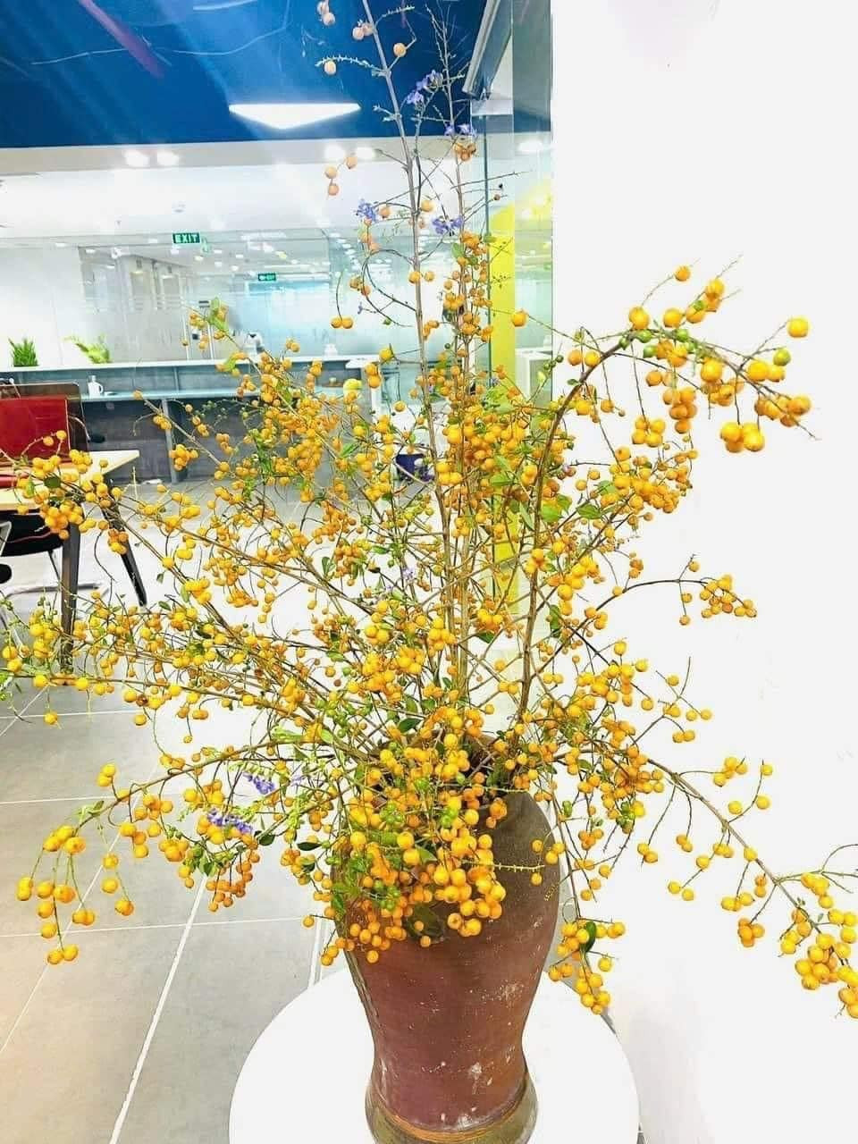 Những ngày đắt khách, chị Lan bán được cả trăm bó găng. Ảnh: Facebook