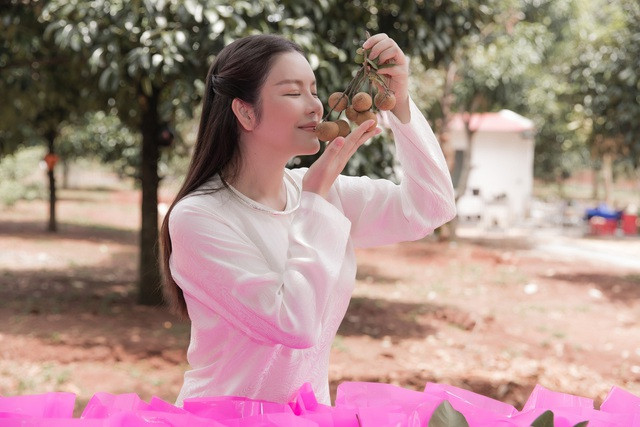 Ngoài cây cổ thụ, Lý Nhã Kỳ còn trồng nhiều cây ăn quả lớn.