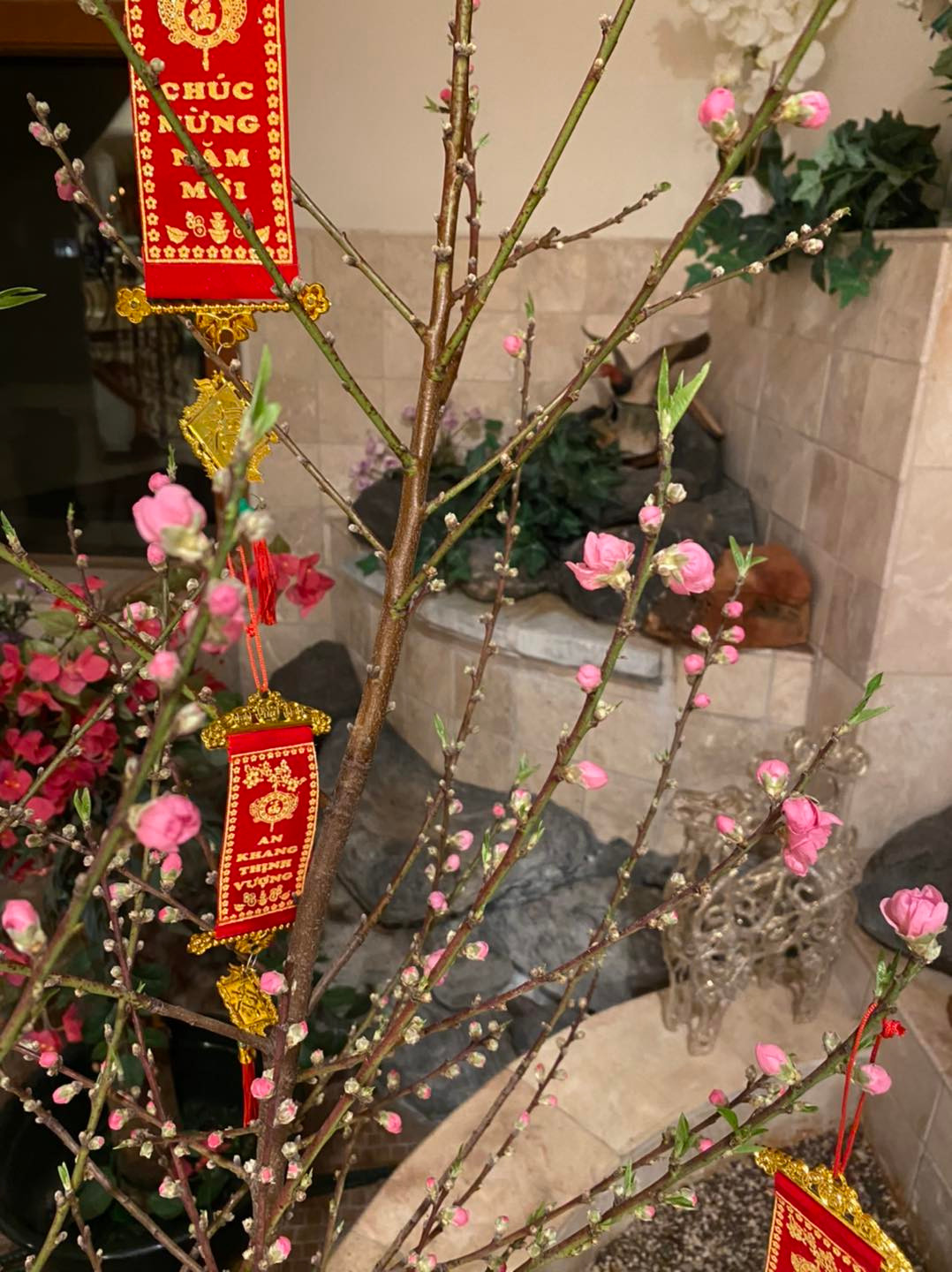 Doanh nhân người Mỹ gốc Việt thường chia sẻ không gian sống ngập tràn hoa lá.