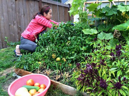 Đó là một cơ ngơi giản dị, gần gũi thiên nhiên. Ảnh: FBNV