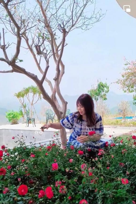 Những bông hoa đang độ đẹp nhất.