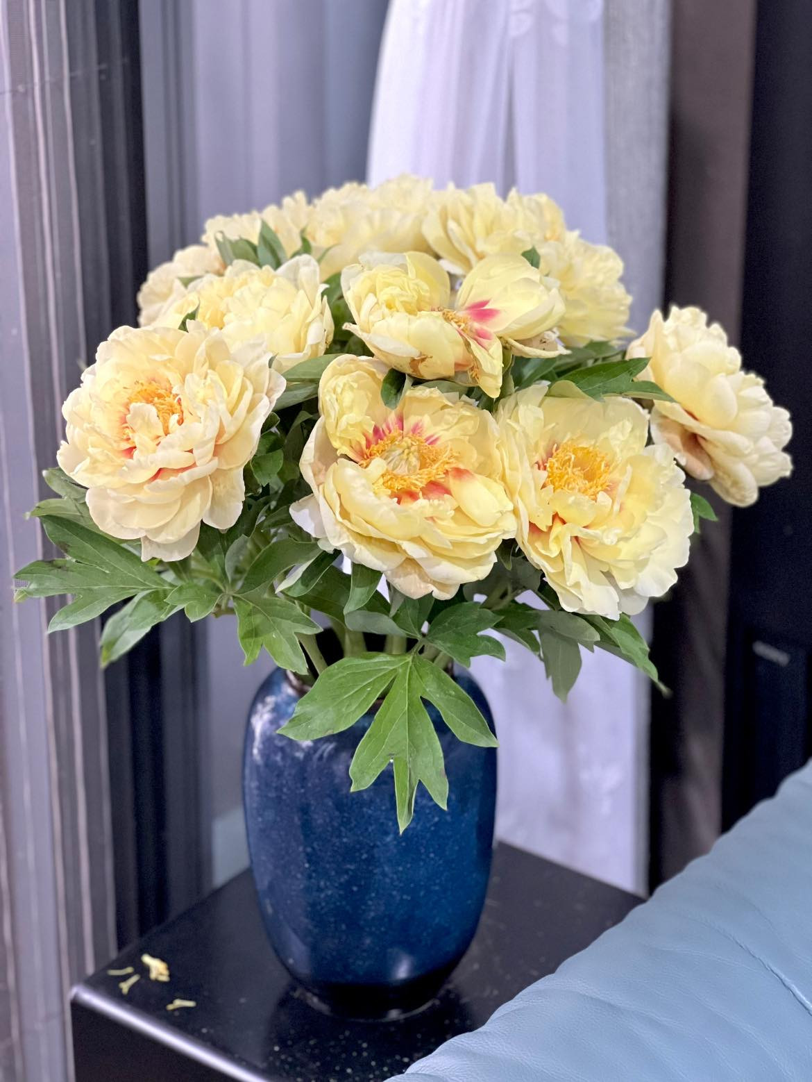 Mới đây, MC Diễm Quỳnh chia sẻ bình hoa mẫu đơn tại nhà khiến nhiều người xuýt xoa.