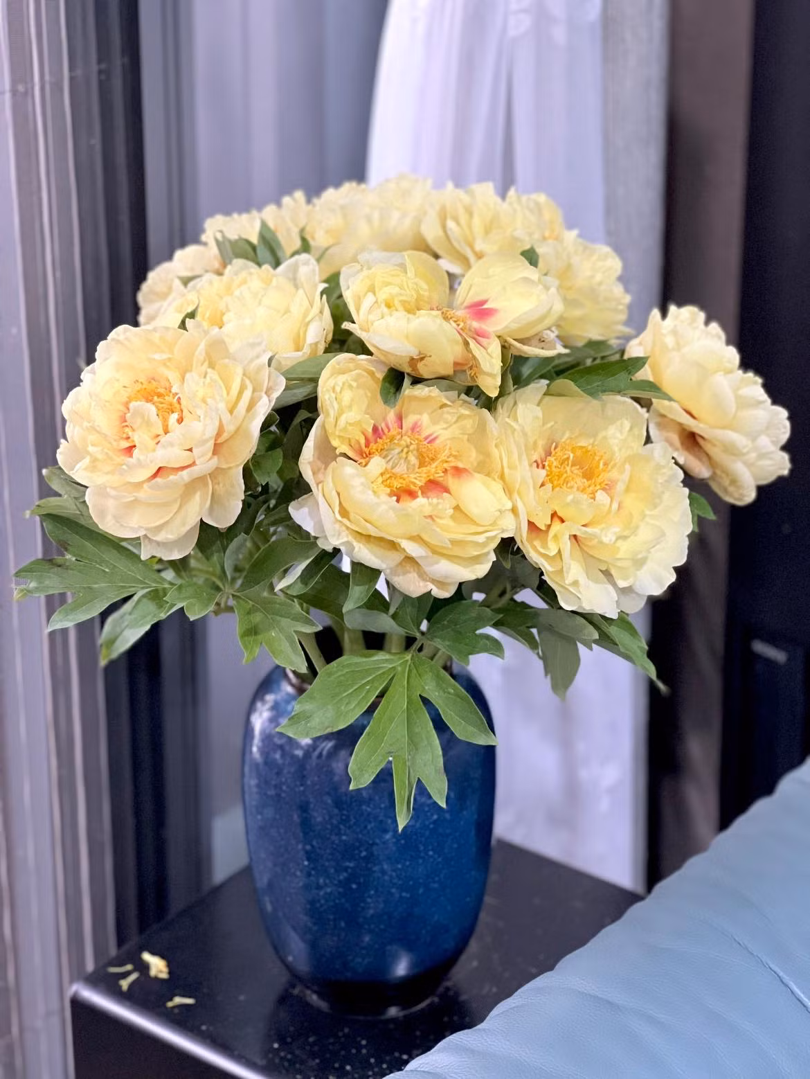 Mới đây, MC Diễm Quỳnh chia sẻ bình hoa mẫu đơn tại nhà khiến nhiều người xuýt xoa.