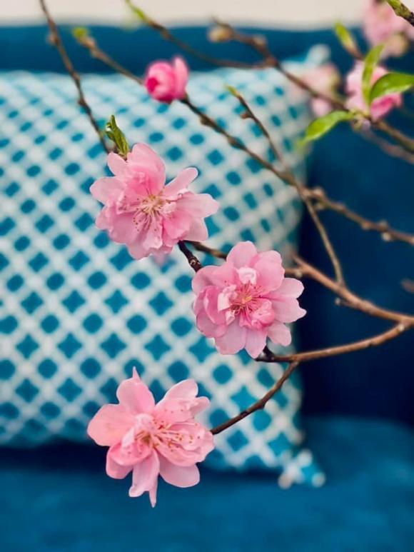 Mùa xuân đến, căn nhà được trang trí bằng hoa đào.