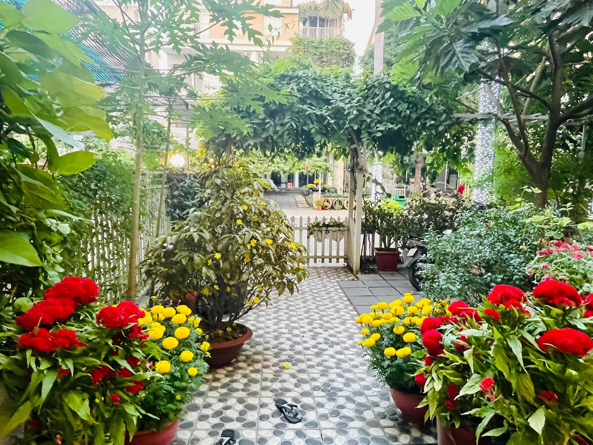 Nổi bật nhất trong căn nhà là khu vực sân vườn nhiều cây xanh và hoa.