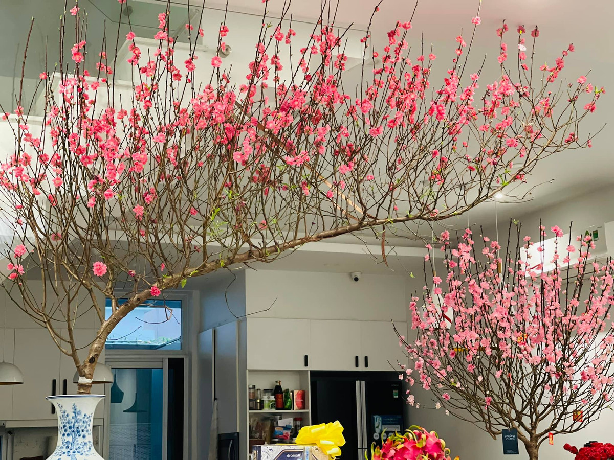 Vào dịp Tết, diễn viên Thân Thuý Hà trang trí không gian phòng khách bằng những cành đào lớn.