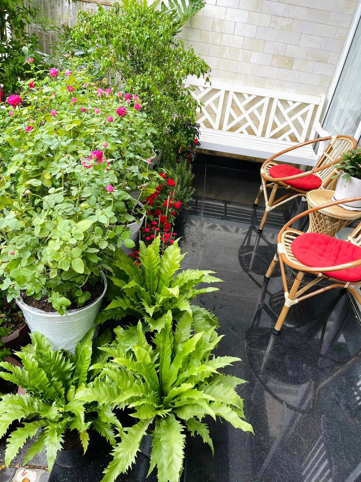 Phía trước nhà còn có bộ bàn ghế để thư giãn.