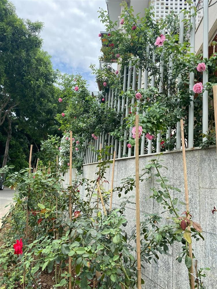 Nhìn từ bên ngoài, hoa phủ kín lối đi. Ảnh: FBNV