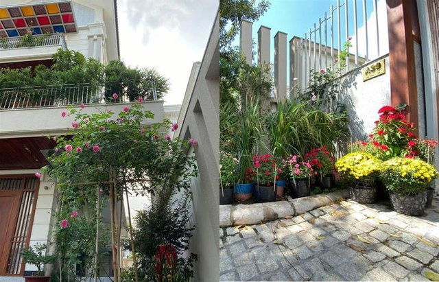 Từ trong sân nhà đến ngoài vườn, hoa lá, rau quả đua nhau nở hoa khoe sắc. Ảnh: FBNV