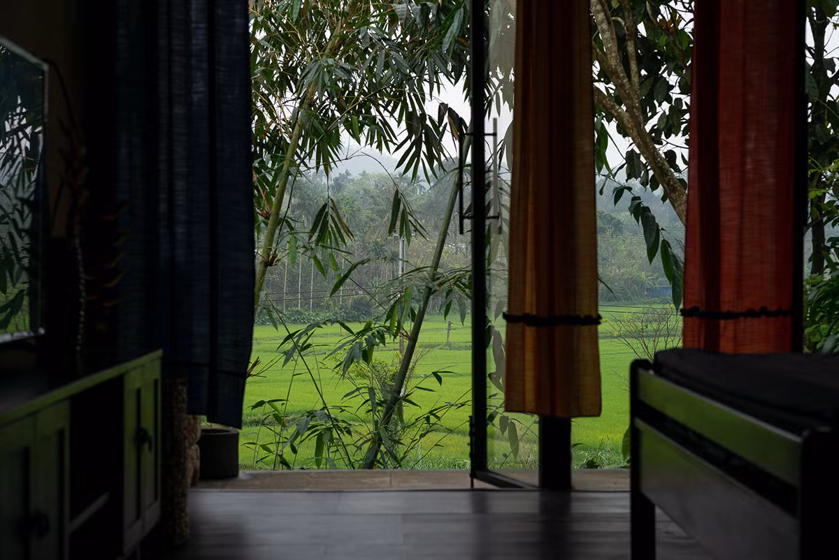 Thay vì nhìn ra đường, gia chủ giờ có thể hướng tầm mắt ra cánh đồng xanh và núi rừng.