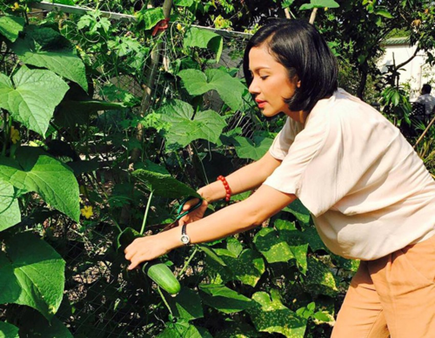 Xung quanh nhà là vườn cây đủ các loại cây ăn quả và hoa trái. Ảnh: FBNV