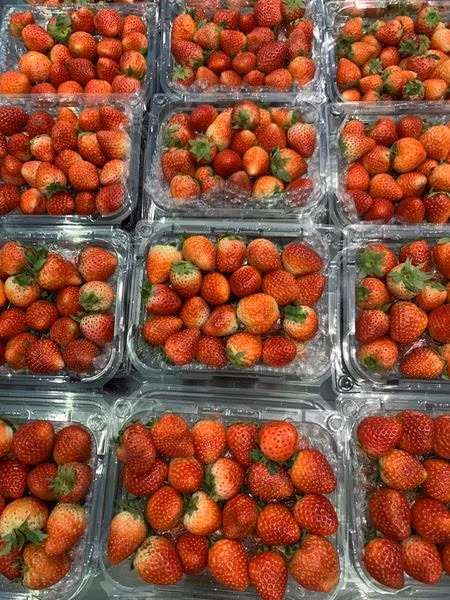 Các tiểu thương cho biết, dâu tây Sơn La hiện đang vào chính vụ nên số lượng khá lớn. Dâu tây được nhiều người ưa thích nên khá hút khách.