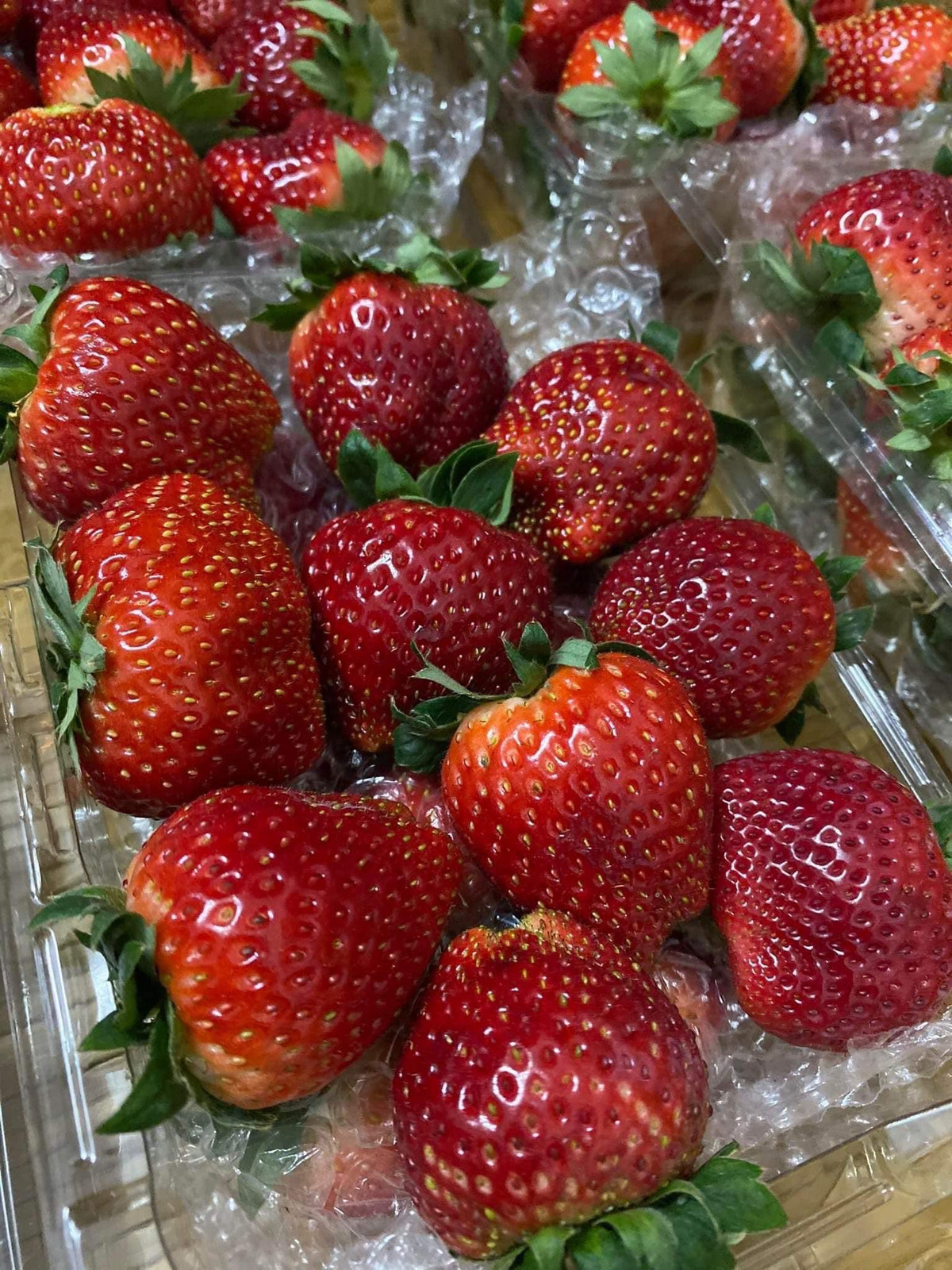 Dù dâu tây Mộc Châu đã hạ hơn so với thời điểm đầu mùa (trước Tết Nguyên đán) nhưng vẫn cao hơn dây tây Trung Quốc. Vì vậy, không ít người lợi dụng nhập dâu Trung Quốc giá rẻ về gắn mác dâu tây Mộc Châu bán với giá cao.