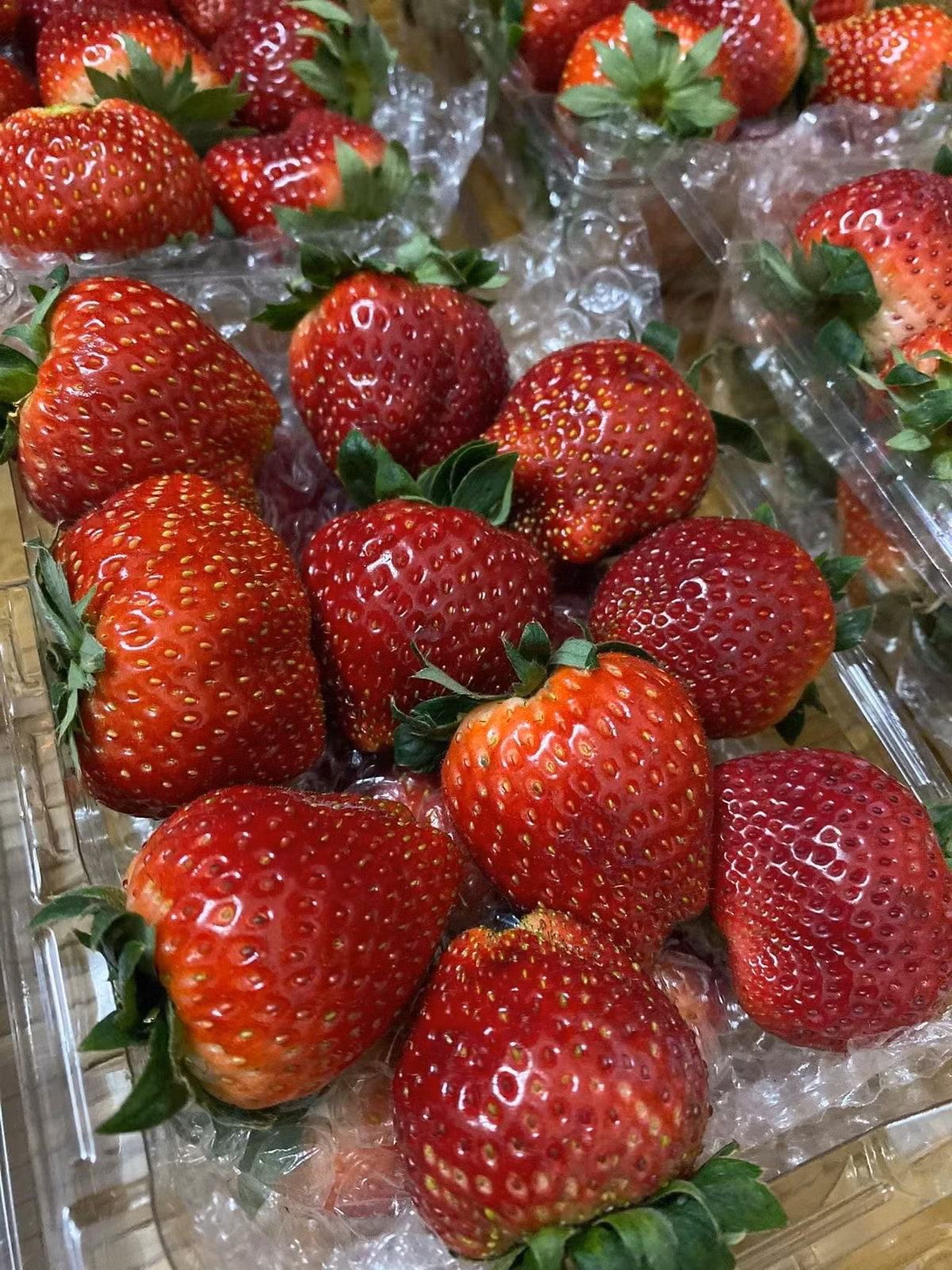 Dù dâu tây Mộc Châu đã hạ hơn so với thời điểm đầu mùa (trước Tết Nguyên đán) nhưng vẫn cao hơn dây tây Trung Quốc. Vì vậy, không ít người lợi dụng nhập dâu Trung Quốc giá rẻ về gắn mác dâu tây Mộc Châu bán với giá cao.