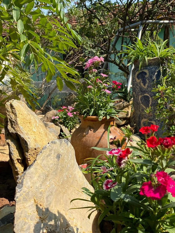 Cuối năm là thời điểm vườn hoa của NSND Minh Hằng nở rộ.