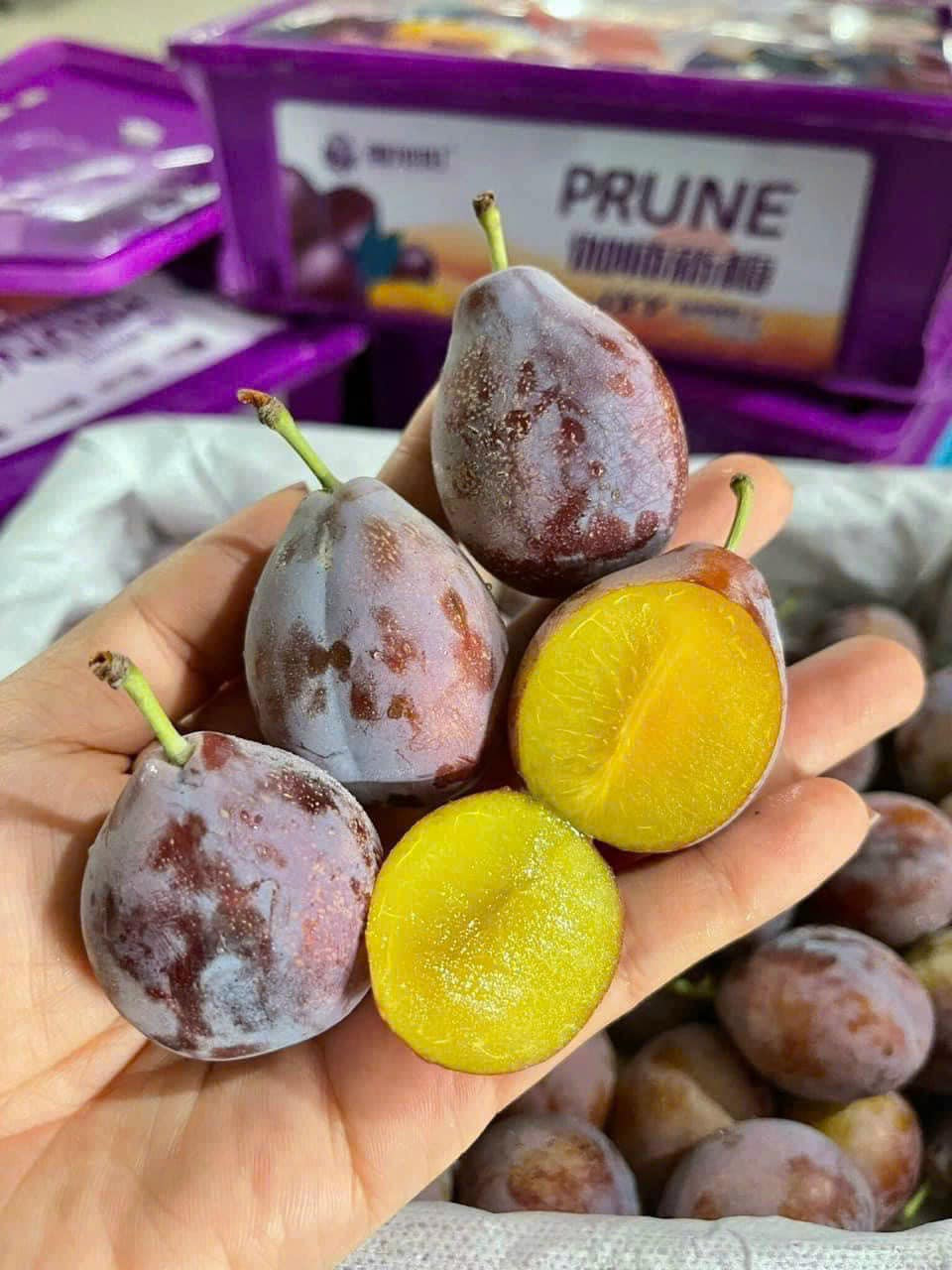 Theo tiết lộ của các đầu mối bán trái cây online, mận đường giá rẻ đang bán nhiều trên thị trường là giống mận đường Chile được trồng ở Trung Quốc. Ảnh: Facebook