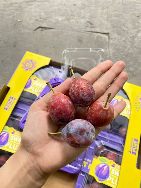 Loại mận này ăn ngọt, giá lại rẻ nên được nhiều khách hàng ưa chuộng. Ảnh: Facebook