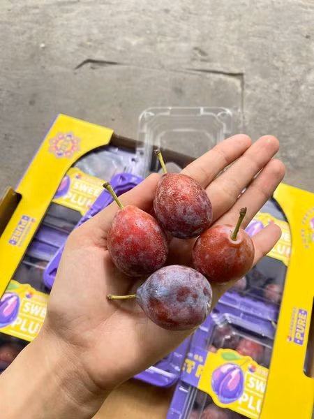 Loại mận này ăn ngọt, giá lại rẻ nên được nhiều khách hàng ưa chuộng. Ảnh: Facebook