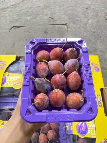 Trước nay, mận Trung Quốc có giá khá rẻ, chỉ 20.000-35.000 đồng/kg. Thế nhưng, mận đường là giống ngoại trồng tại Trung Quốc nên chất lượng khác hoàn toàn. Ảnh: Facebook