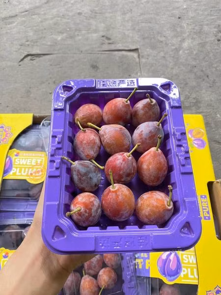 Trước nay, mận Trung Quốc có giá khá rẻ, chỉ 20.000-35.000 đồng/kg. Thế nhưng, mận đường là giống ngoại trồng tại Trung Quốc nên chất lượng khác hoàn toàn. Ảnh: Facebook