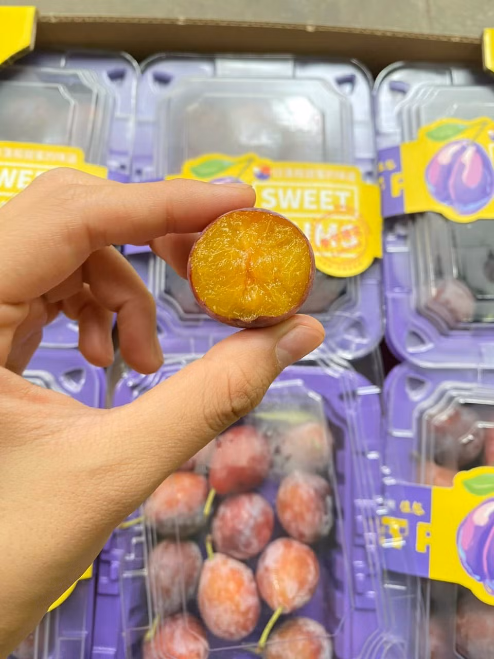 Mận trái nhỏ xinh, thịt vàng và rất thơm. Ảnh: Facebook