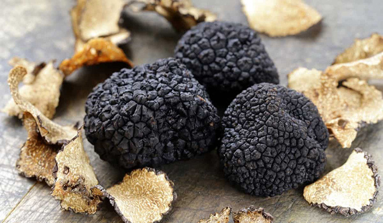 Nấm Truffle là loại quý và hiếm nhất trong các loại nấm được dùng để chế biến thực phẩm. Có hai loại nấm Truffle là đen và trắng. Nấm Truffle thượng hạng trên thị trường có giá từ 12.000 – 20.000 USD/kg (khoảng 281 - 469 triệu đồng/kg). Ảnh: Getty