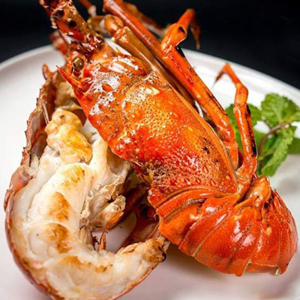 Vào những năm 1880, nhu cầu tăng mạnh trong khi nguồn cung giảm dẫn đến tình trạng giá cả tăng vọt khiến tôm hùm trở thành một món hàng xa xỉ. Ảnh: Haisancuabien