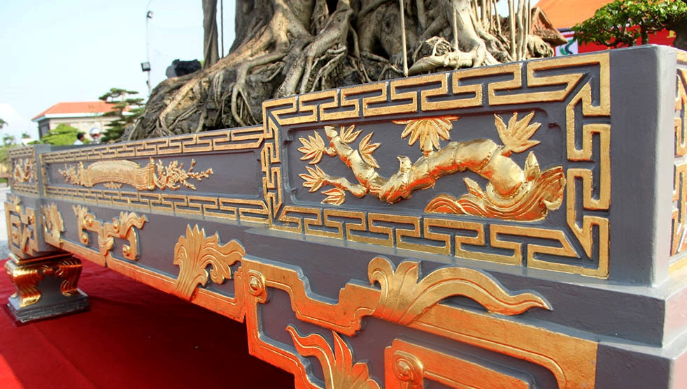 Sau đó, chủ nhân cho dát 5 cây vàng trị giá 185 triệu vào chậu. Ảnh: Vietnamnet