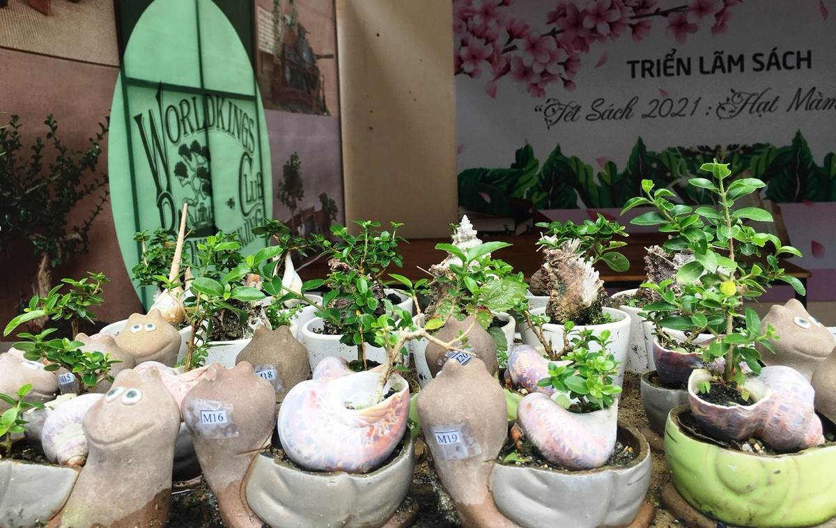 Muốn có tác phẩm bonsai mini đẹp phải chọn được giống, lá cây nhỏ, khẳng khiu, dễ sống... Ảnh: Dân Việt