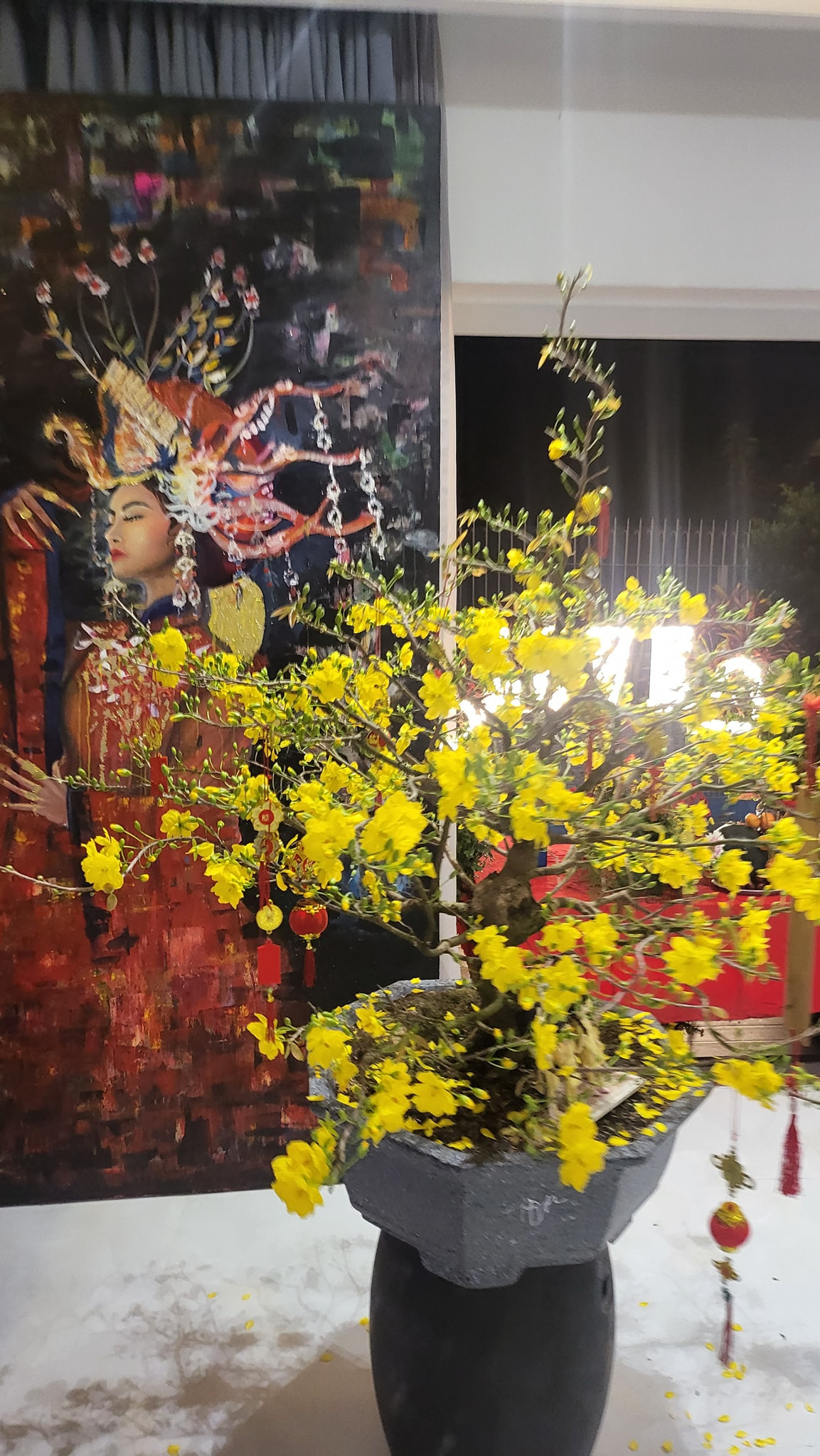 Chậu mai vàng rực rỡ một góc nhà.