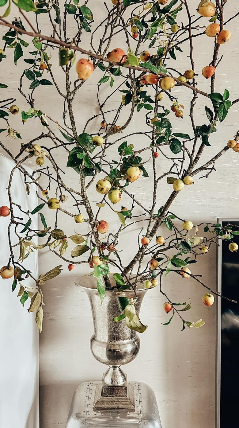 Cành táo mang hơi thở vừng cao. Nguồn ảnh: FBNV