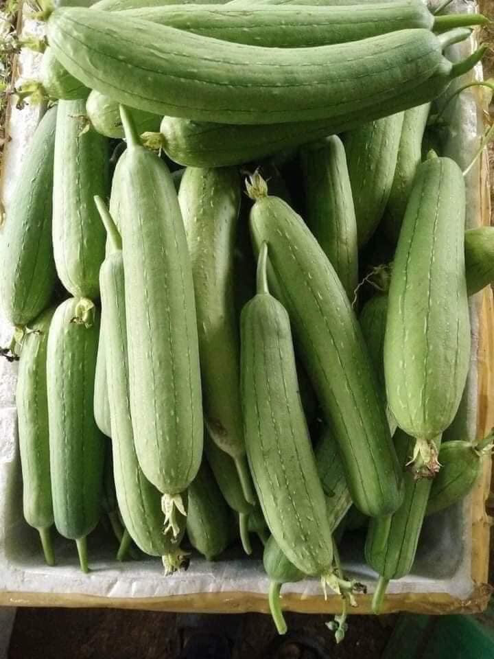 Mướp là loại quả phổ biến ở nước ta. Tại các khu chợ dân sinh, mướp được bán với giá chỉ từ 10.000-20.000 đồng/kg. Ảnh: Facebook