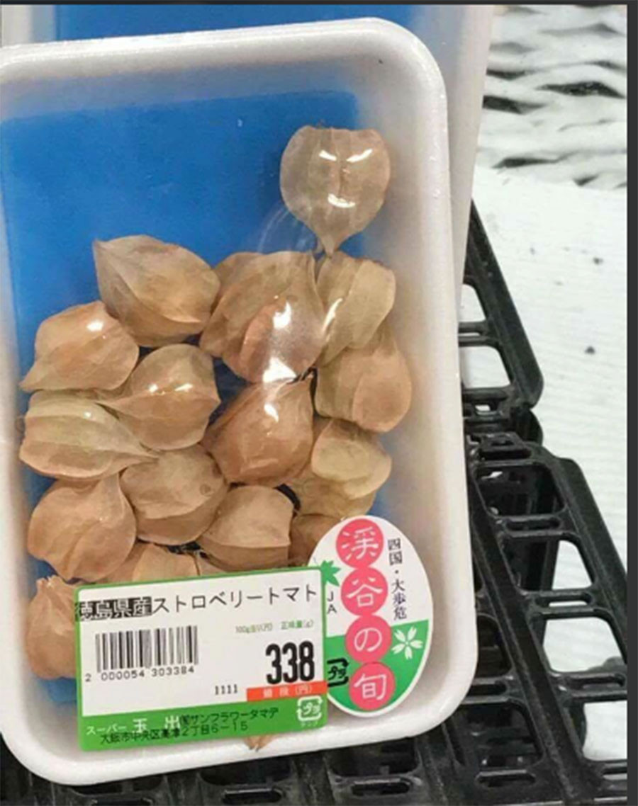 Tại Việt Nam, tầm bóp vốn chỉ được biết đến là loại quả mọc dại, ít được bày bán. Tuy nhiên, tại một siêu thị ở Tokushima của Nhật Bản, một khay tầm bóp có trọng lượng 100g được bán với giá 338 yen, tương đương 70.000 đồng. Ảnh: Thethaovanhoa