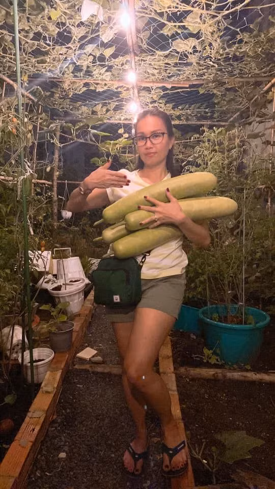 Trên sân thượng, ca sĩ Cẩm Ly trồng nhiều nhất là bầu, khổ qua và mướp...