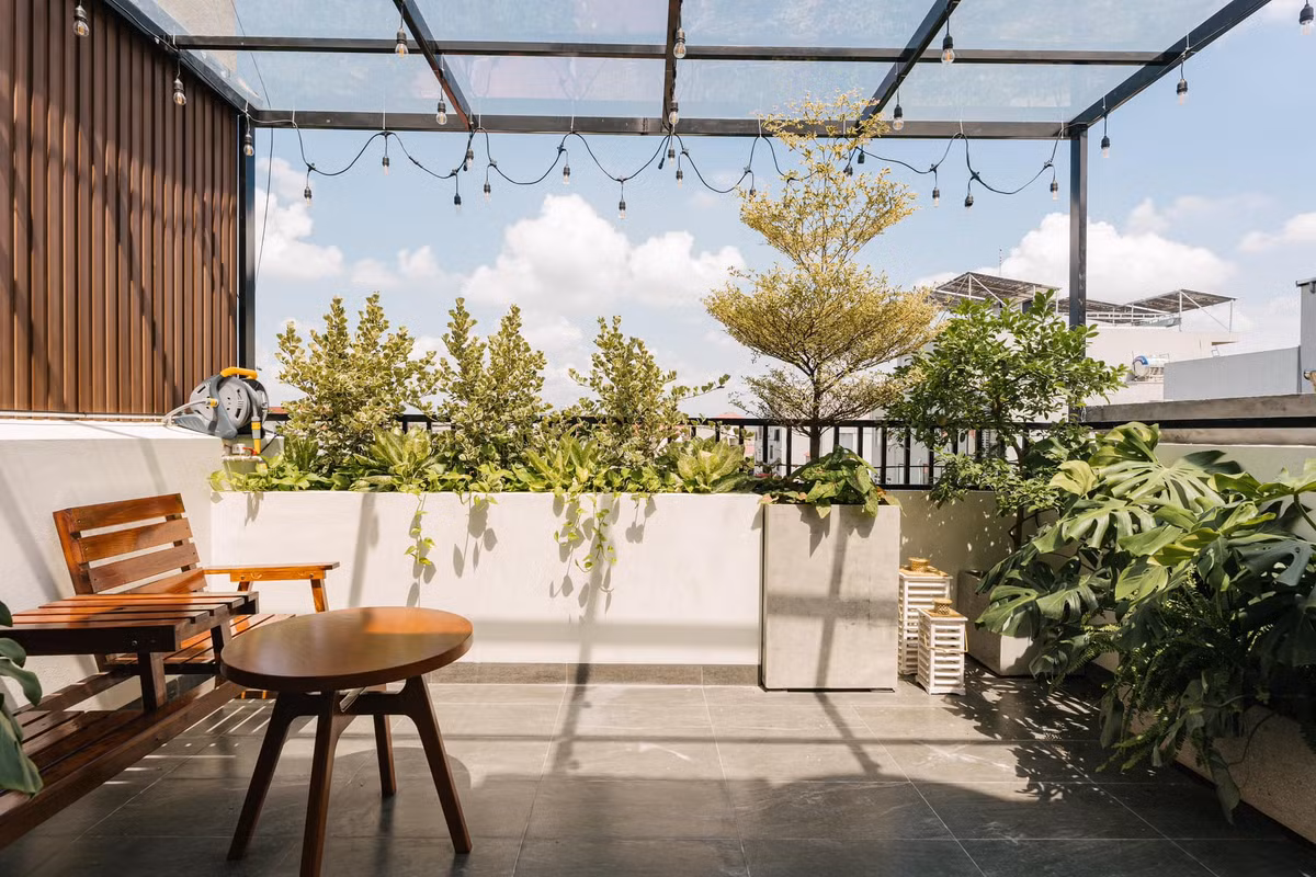 Sân thượng trồng nhiều cây xanh. Nguồn ảnh: FBVN