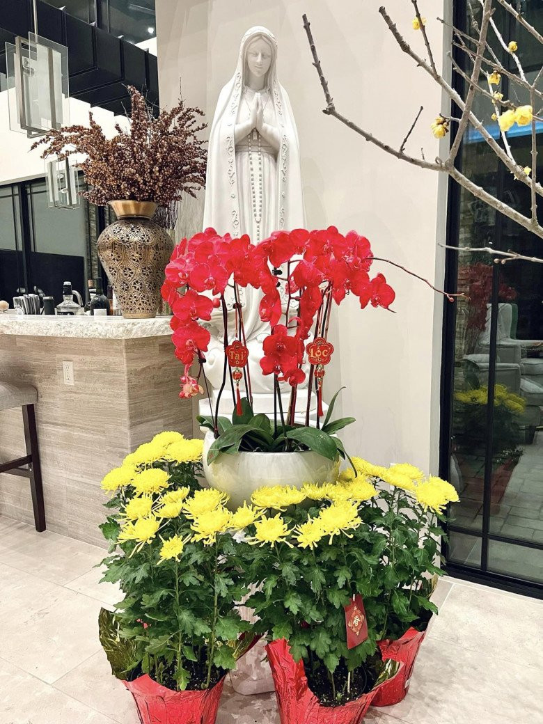 Đáng chú ý nhất là chậu hoa lan đỏ rực được Thuỷ Tiên nhuộm màu.