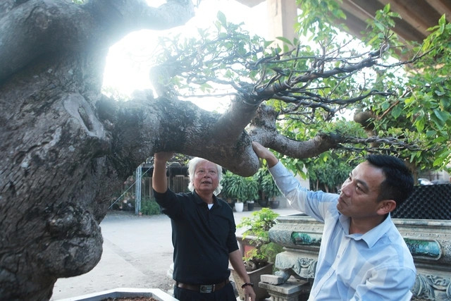 Tay phóng khá lớn, tỷ lệ khá hài hòa với thân. Ảnh: Dân trí