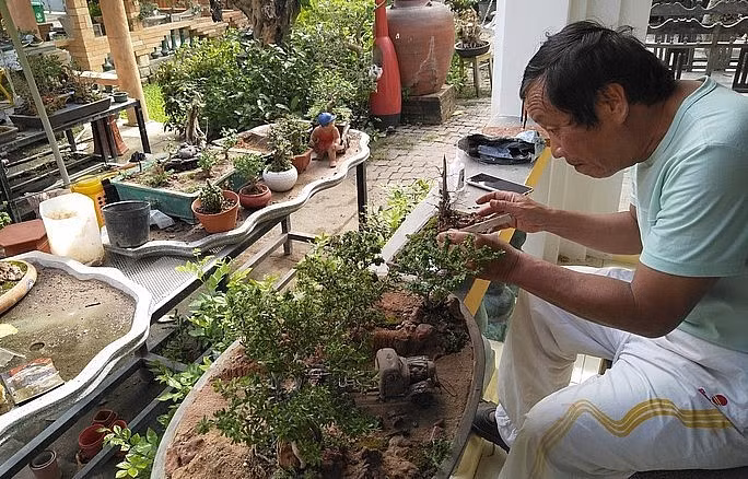 Đam mê cây cảnh và dành trọn tình yêu cho những tác phẩm bonsai mini, đến nay nghệ nhân Nguyễn Văn Phúng (thôn Phước Thượng, xã Phước Đồng, thành phố biển Nha Trang, Khánh Hòa)đã sở hữu trên 5.600 tác phẩm. Ảnh: Thuonghieusanpham